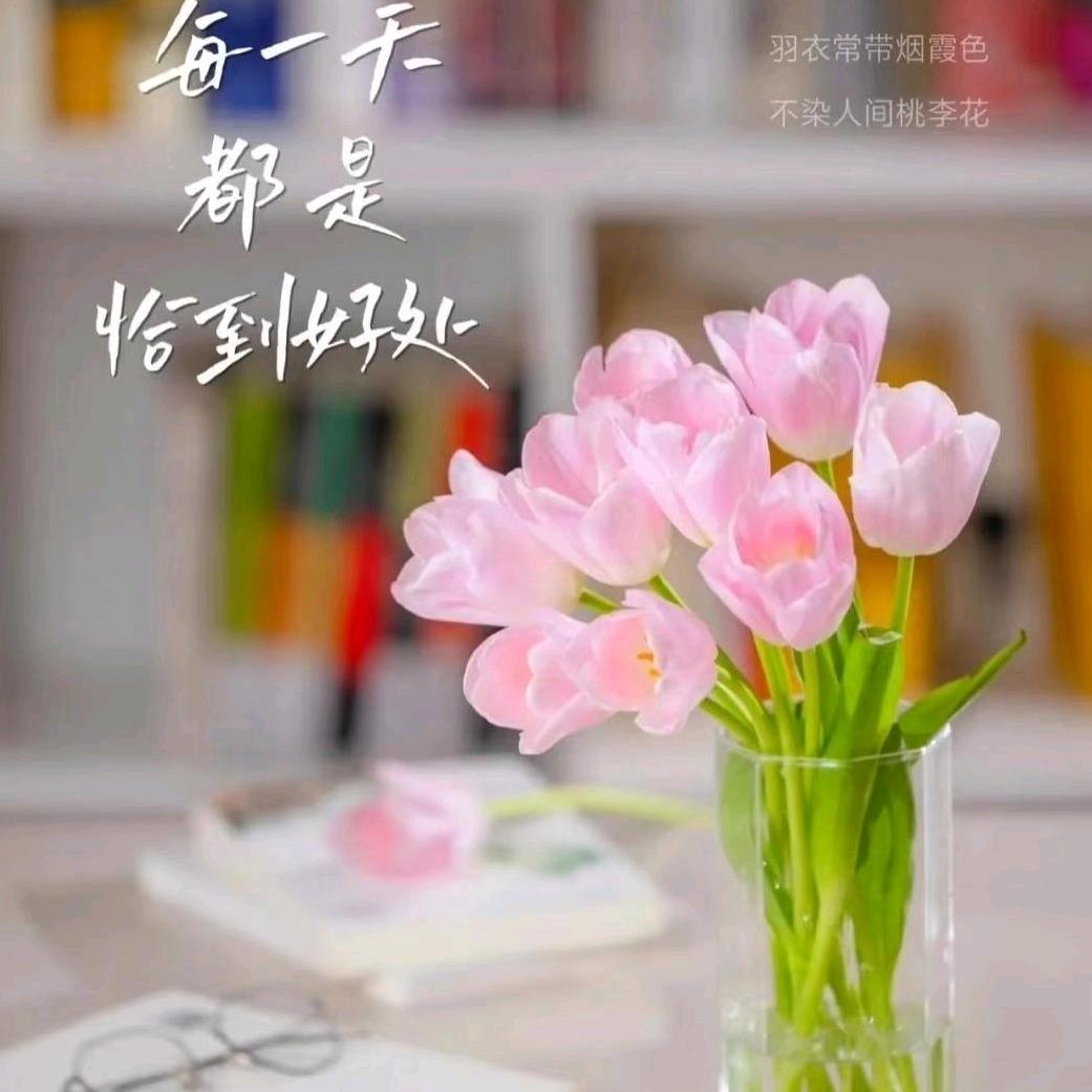 汇多利畜禽源头厂家—兰兰