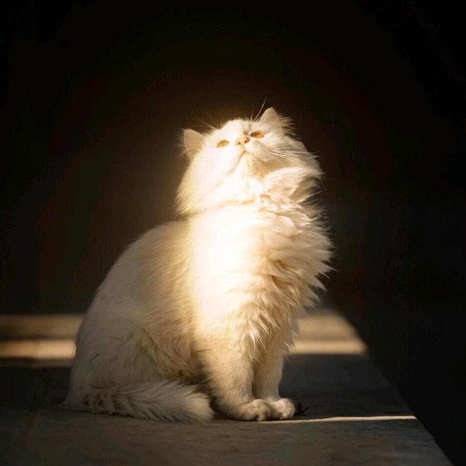 阿久