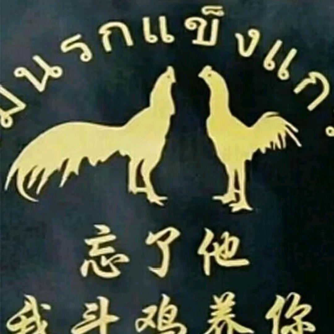 999越泰🐯