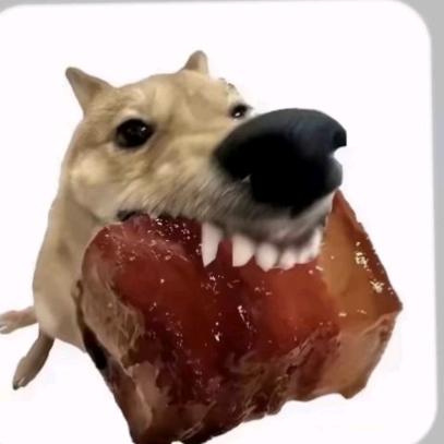 弃子