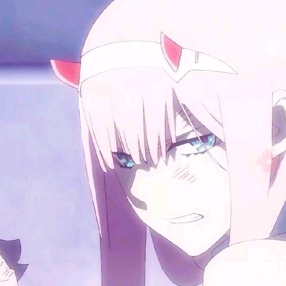 小鲸鱼的夏天/.🐳