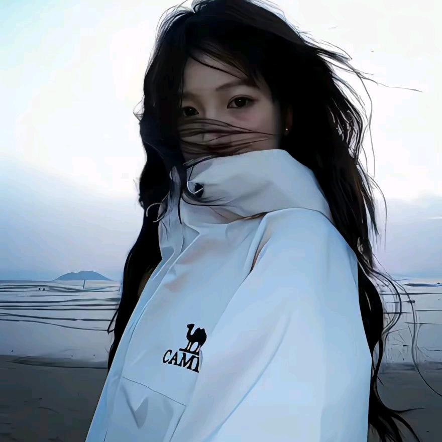 绿皮往海边开