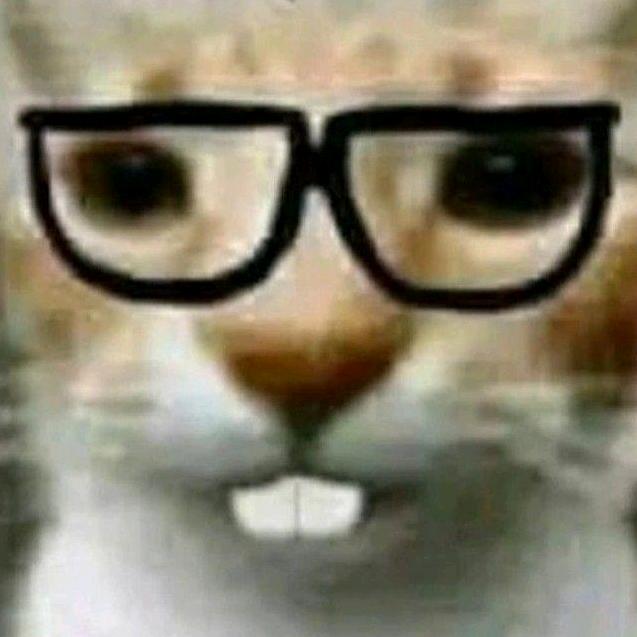 蓝猫为什么叫灰灰