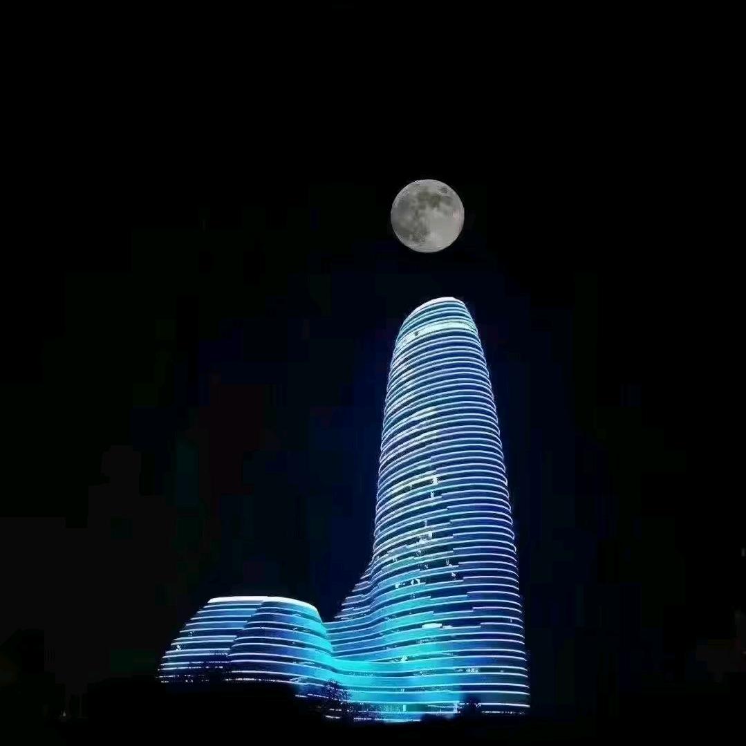 蒼蒼森
