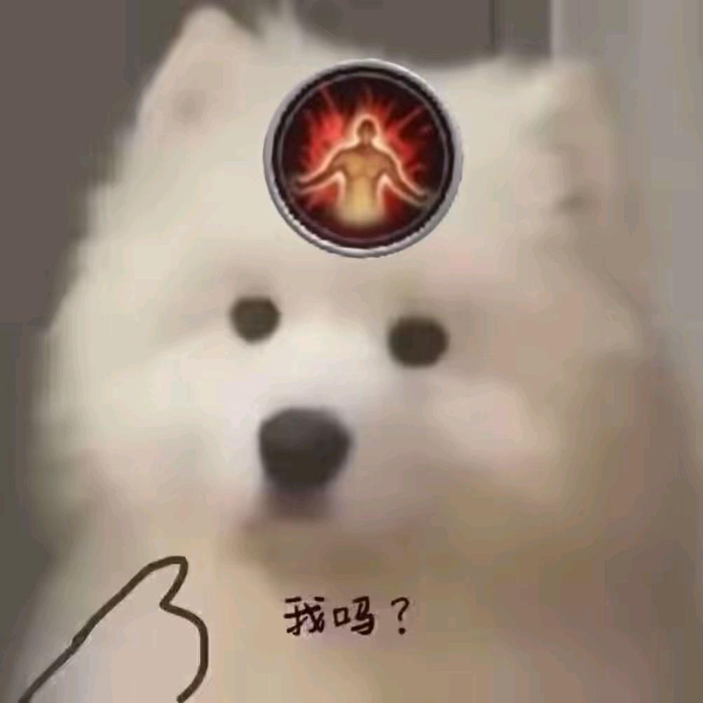 顽石狗