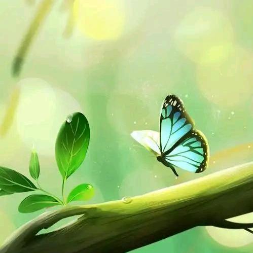 春莲生态农场（鸵鸟苗）