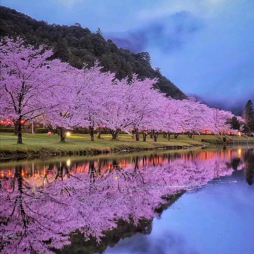 开心小猫(●°u°●) 」