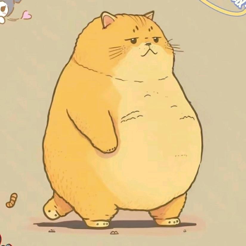 胖猫party