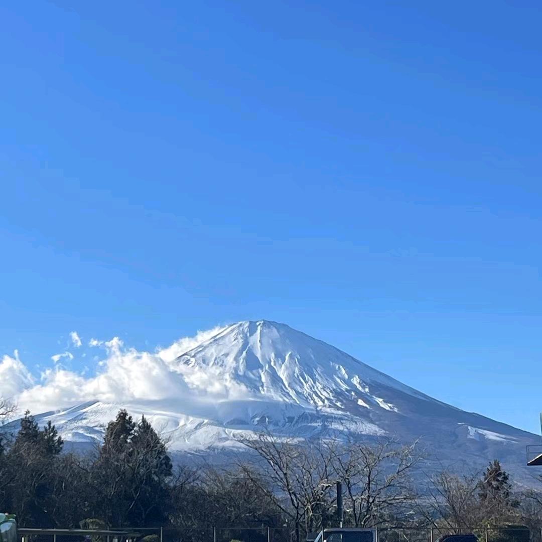 你才是小王叭？