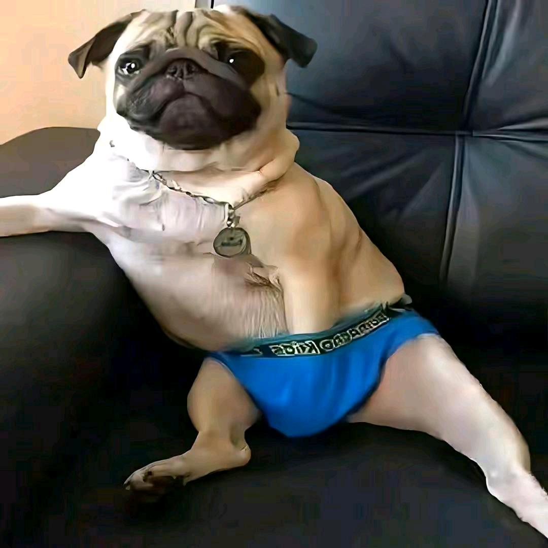 百味-红哥🐀🐁