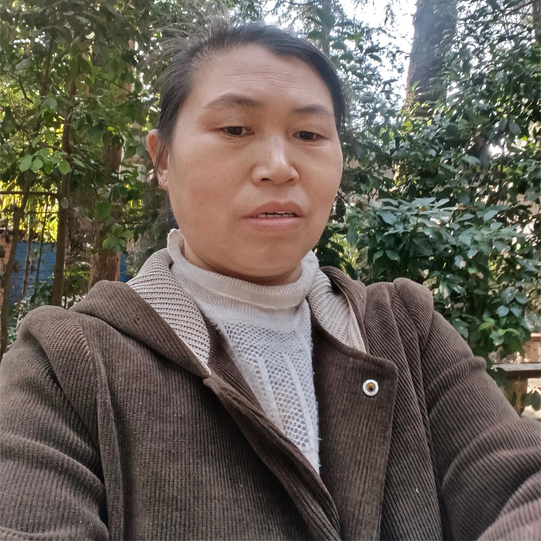 董姐