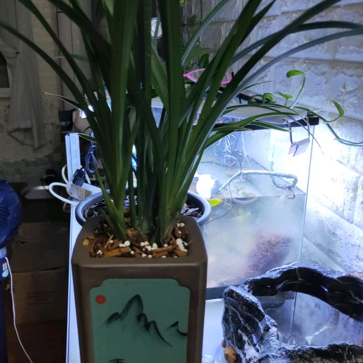 星星点灯照亮我