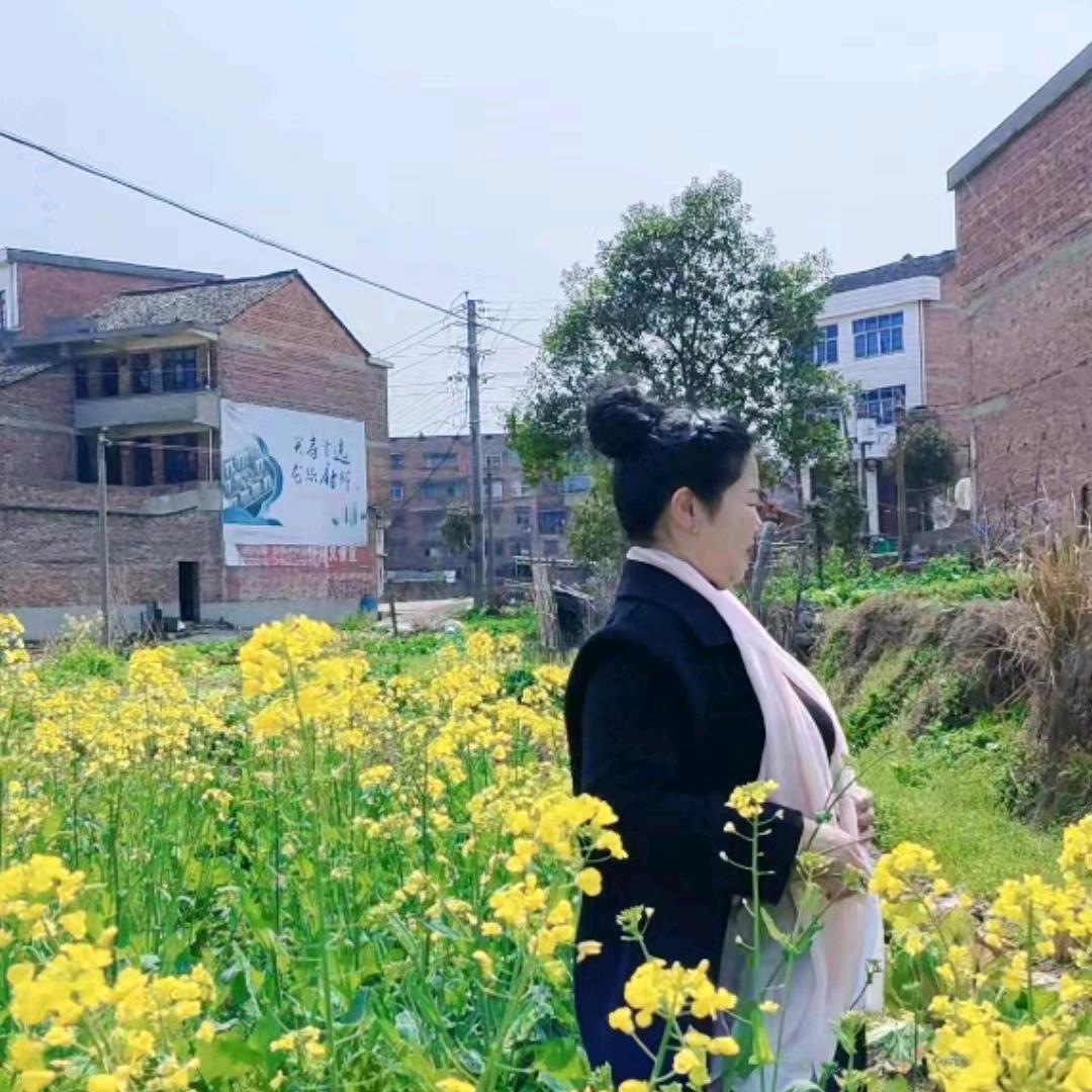 樱花li