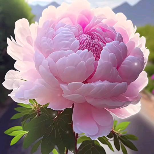 @沐🌸雪🌹