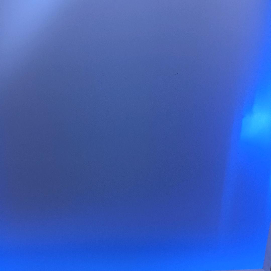 莫离。🍼