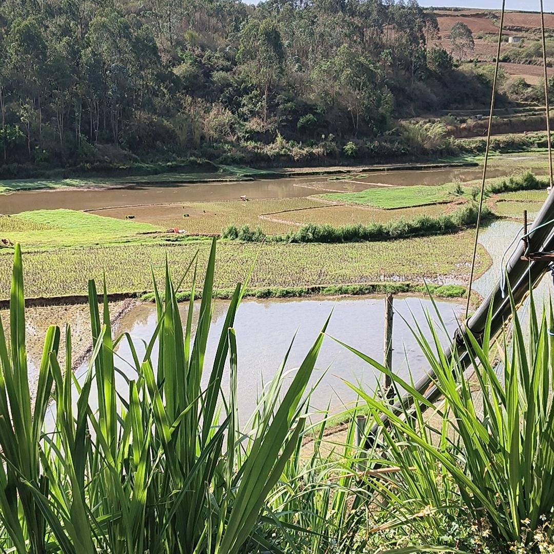 2022年继续努力挣钱吧