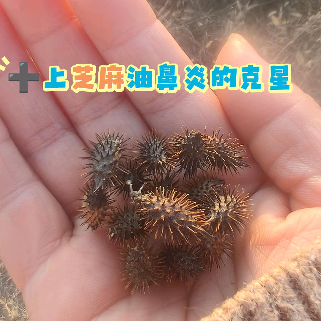 音乐🎵让人安静