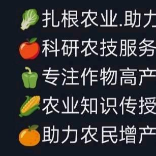 农业帮168