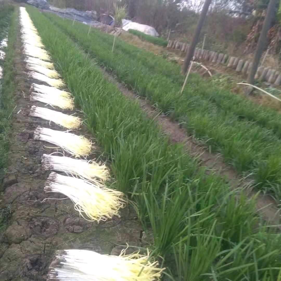 珍惜