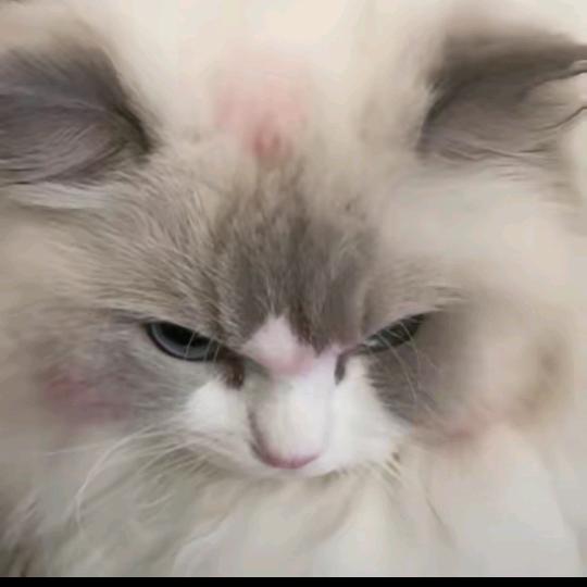 ♡恸