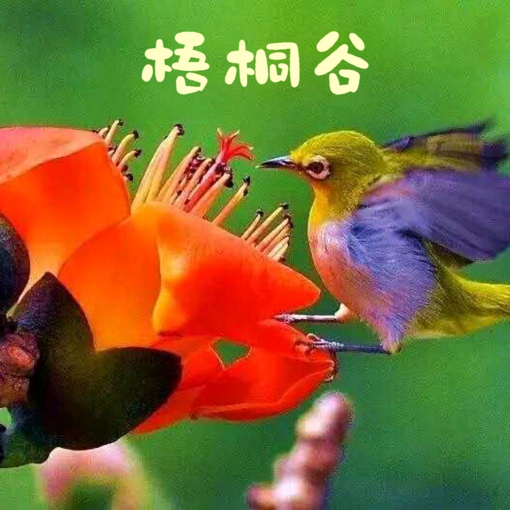 淮北聚贤居食品有限公司：石台友谊宾馆。