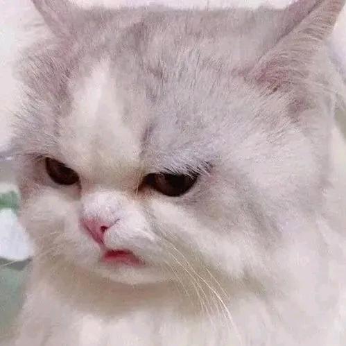 Sss