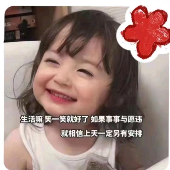 喵小姐