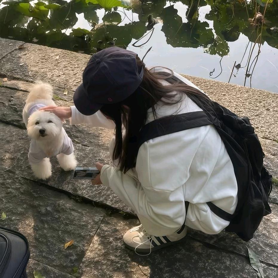 想去伊春的流浪汉