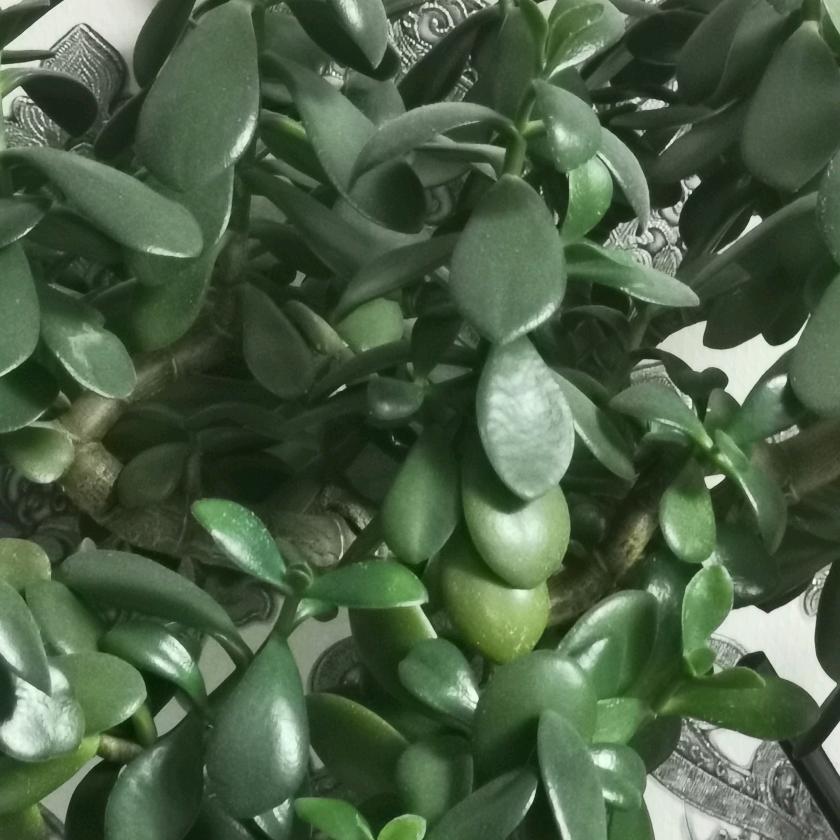 往事随风