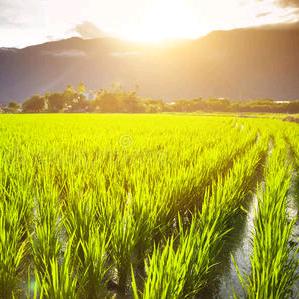 喜马拉雅山上的风