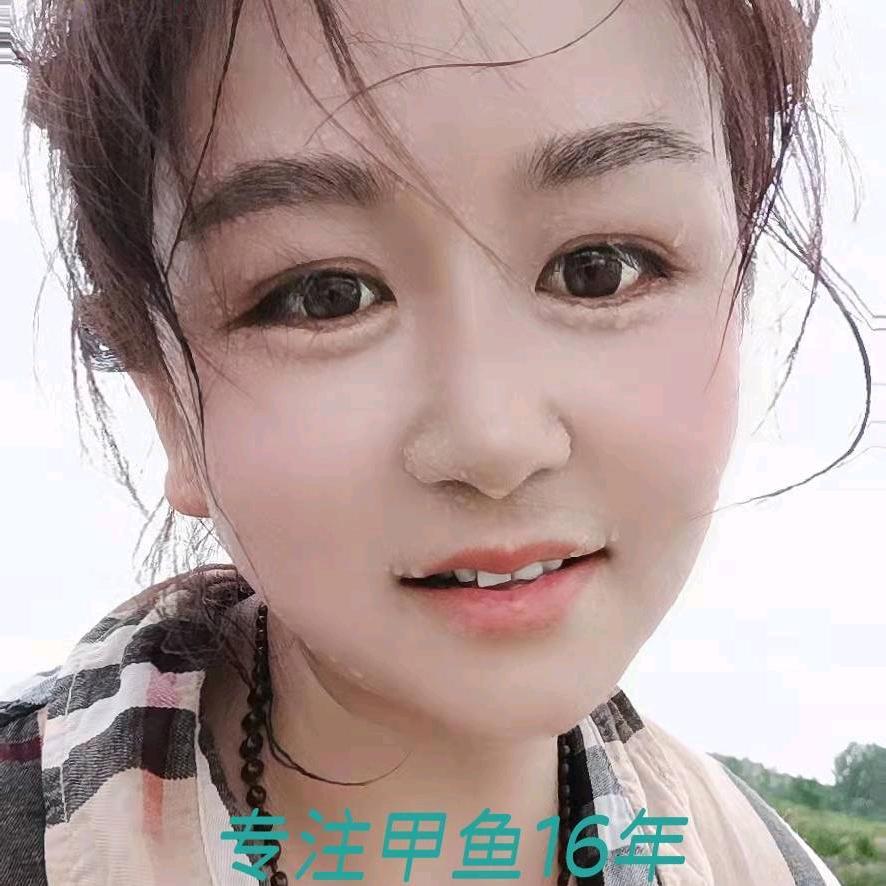 小岗村垚鑫甲鱼