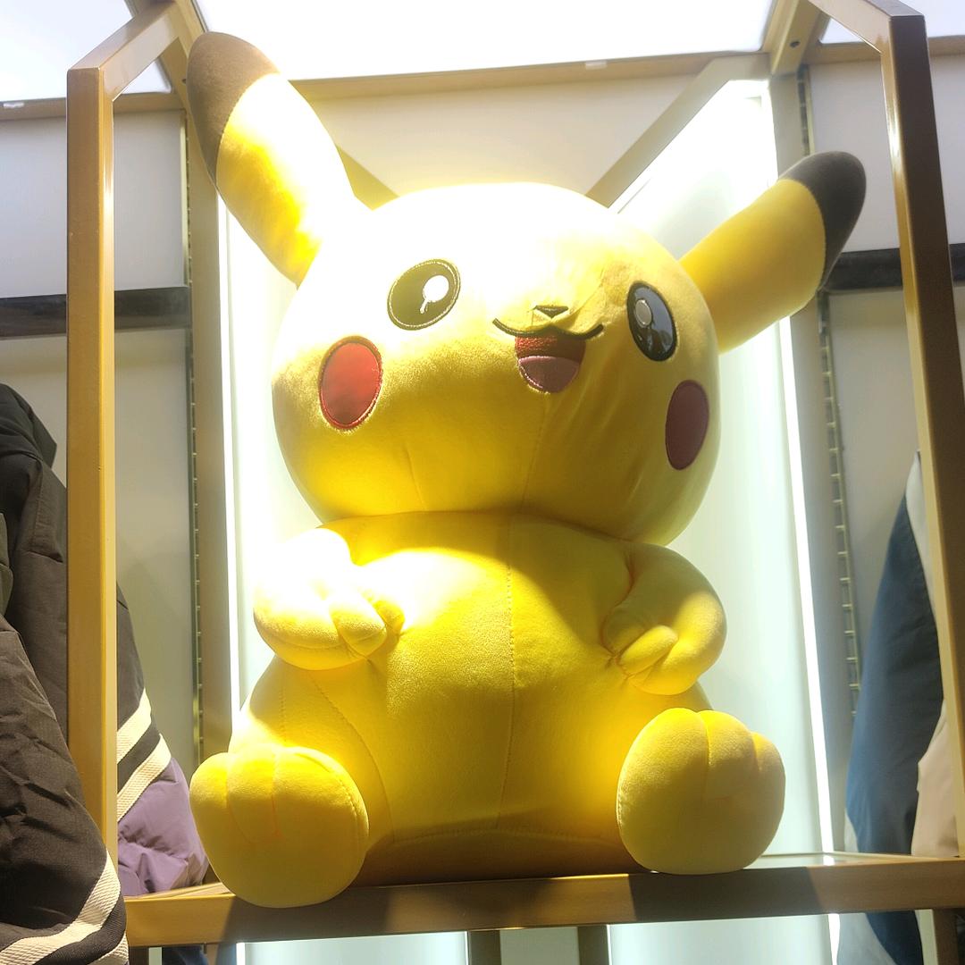 擒贼先擒王先生