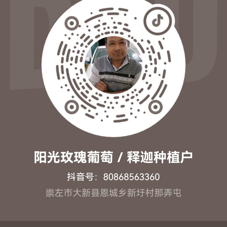 阳光玫瑰葡萄／释迦种植户