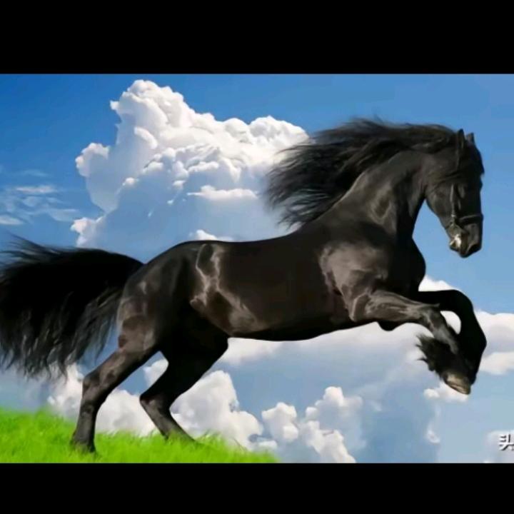 任我飞，（请不要连赞）