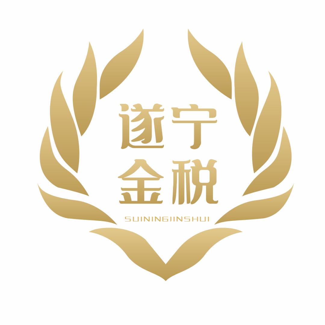 遂宁金税会计服务有限公司官方号
