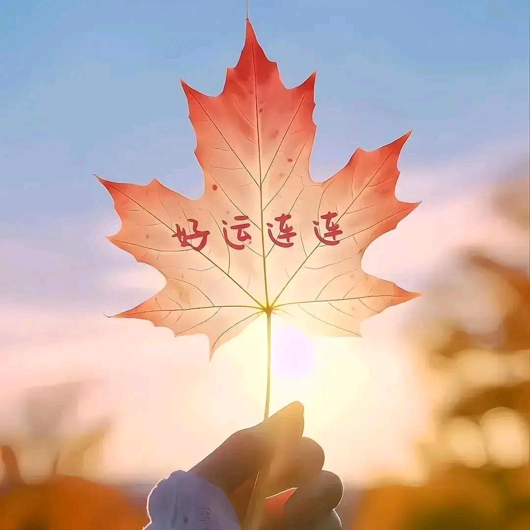 注视这世界