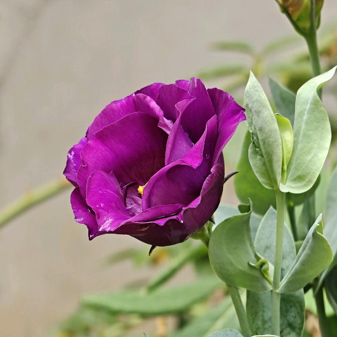 3w