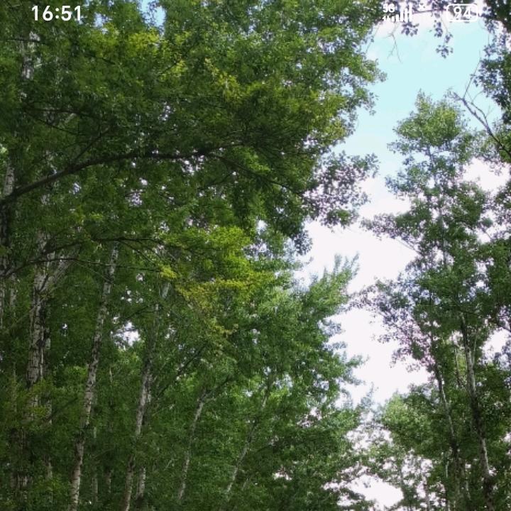 我不是放不哈你@