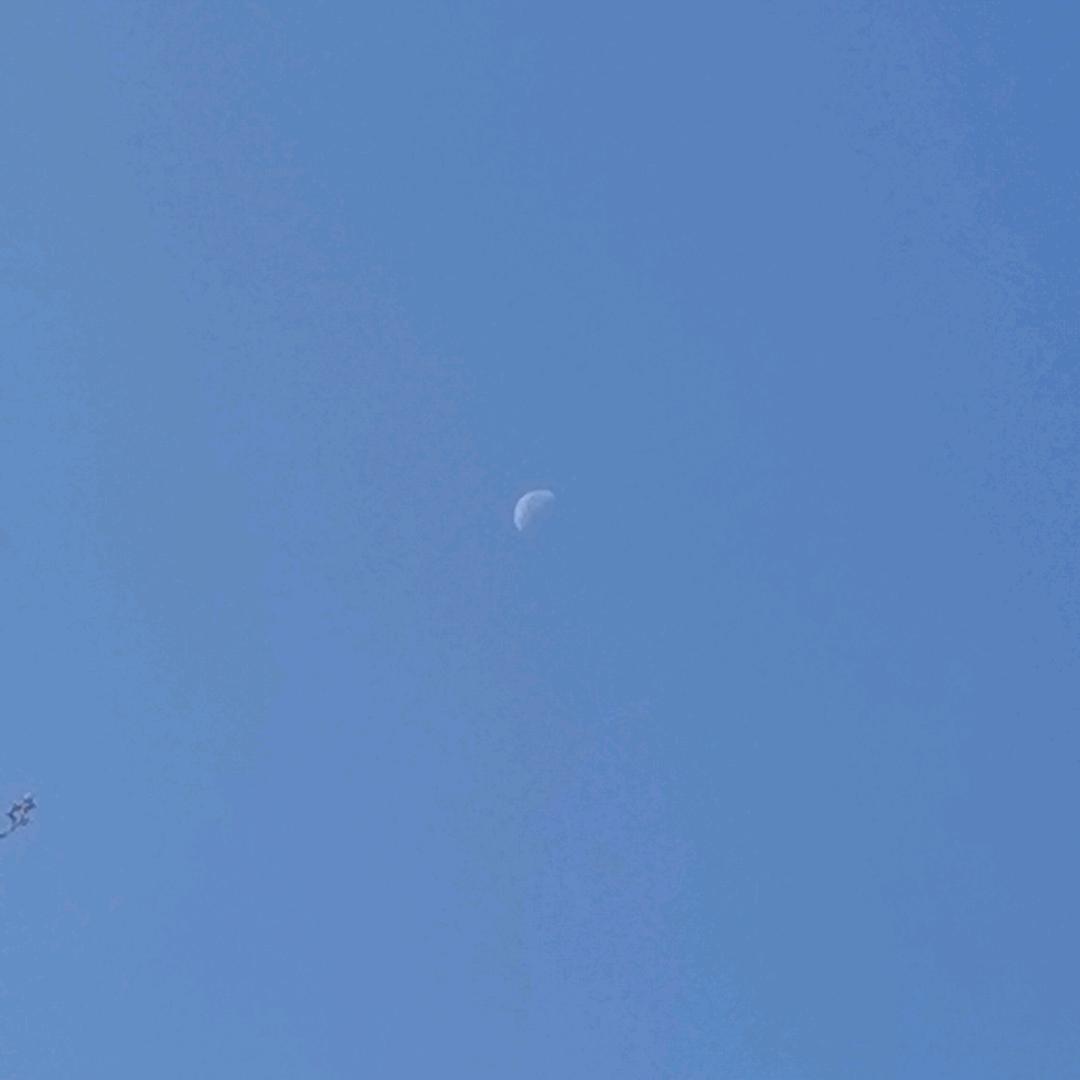 别致