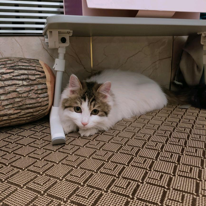 阳光很美