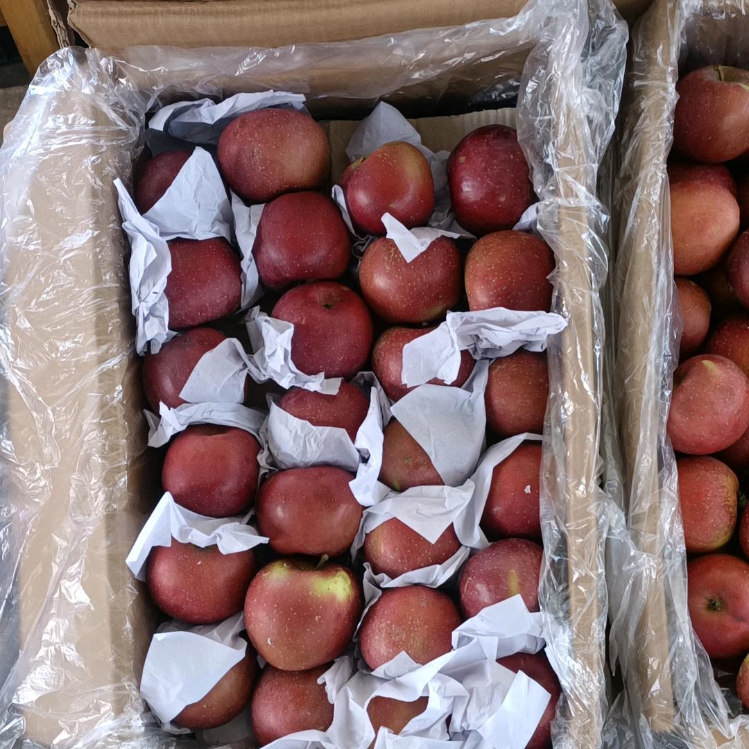 财运来🔥🔥🔥