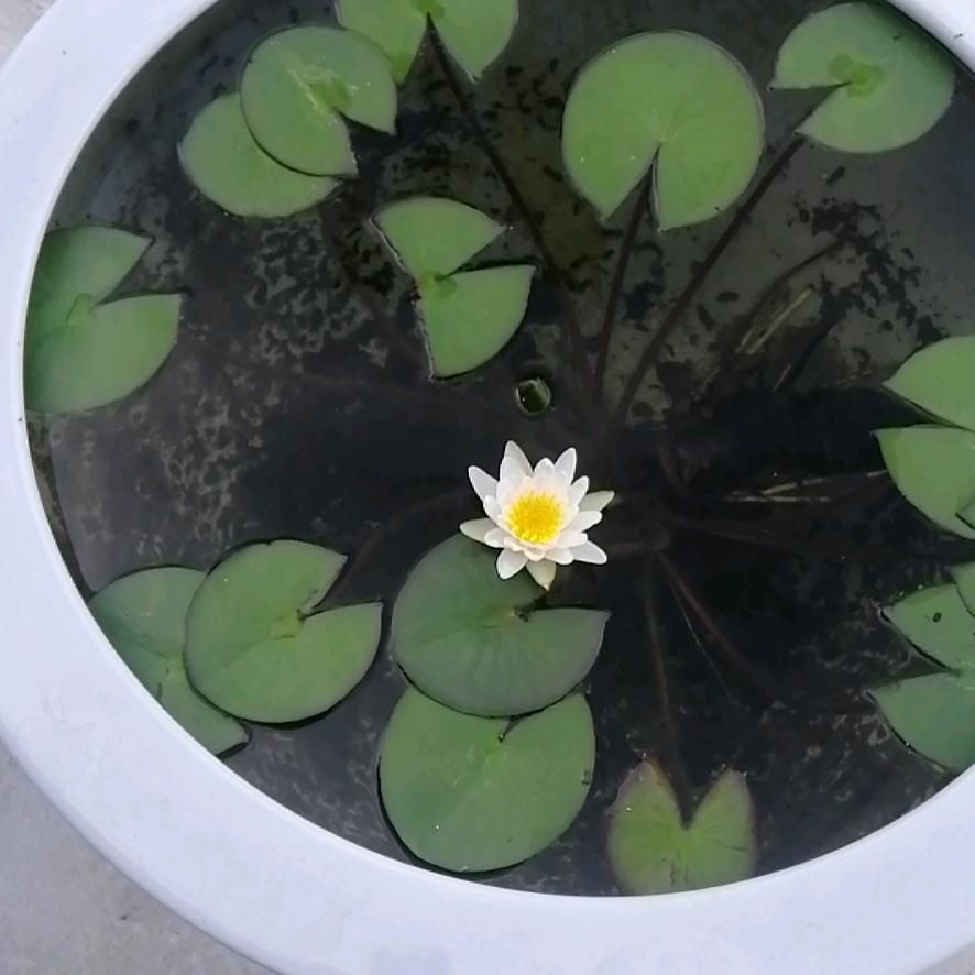 刘庆宽