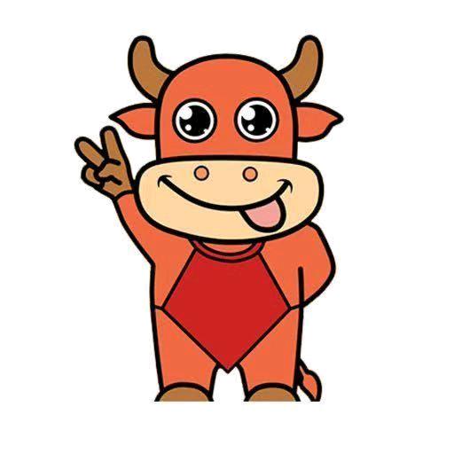 小牛二手车✌️