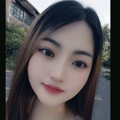 琴宝