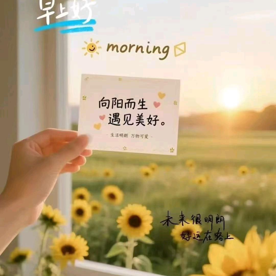 生命起航39
