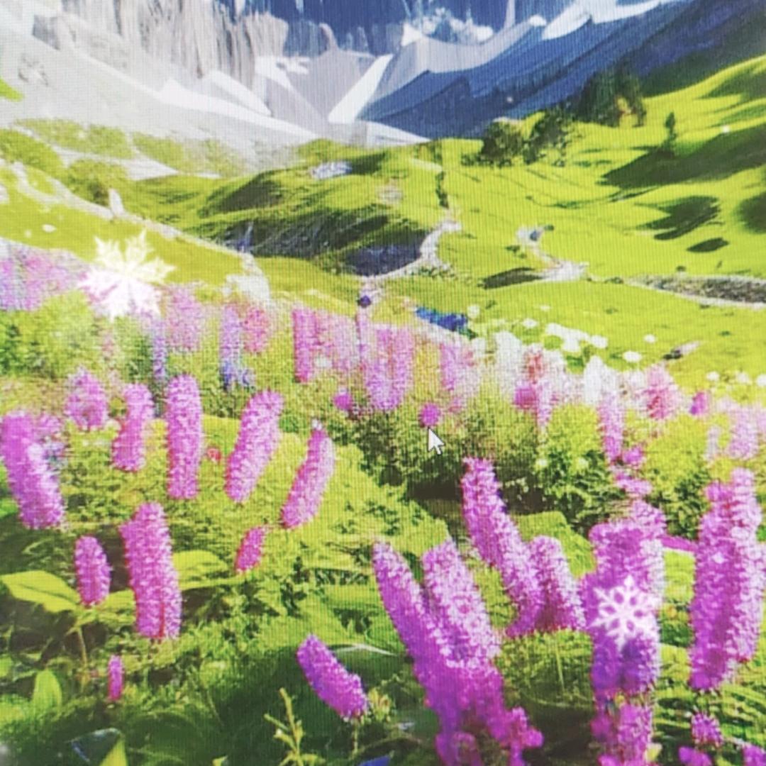 XIAO YAN牛仔工厂店