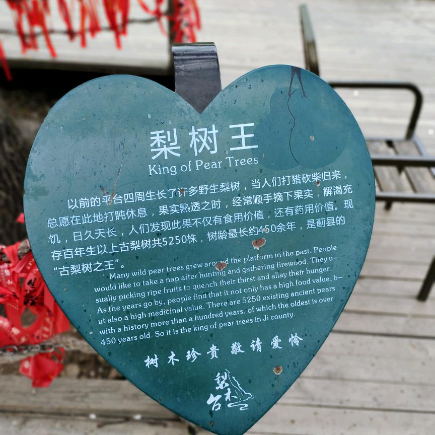 平安快乐就好