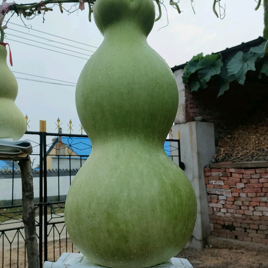 荣长海