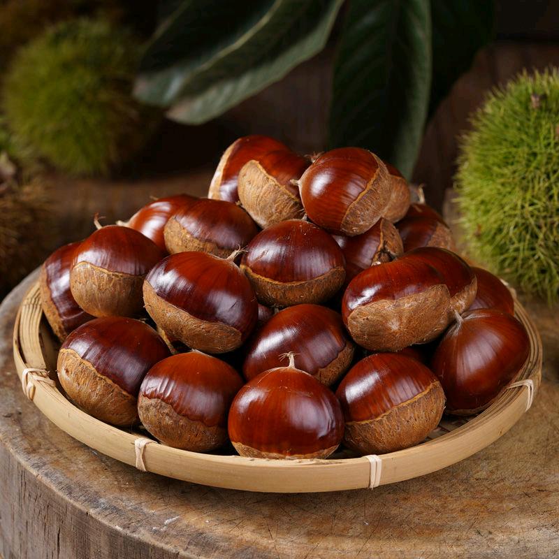 罗栗铺子的头像