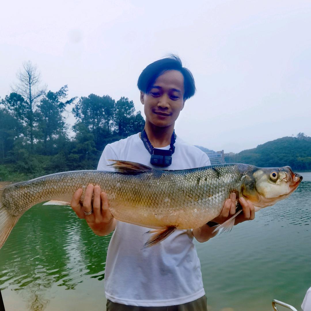 啊杨钓鱼日常